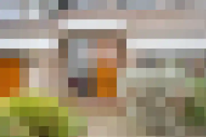 Korenmolen 21 Schagen thumbnail 9