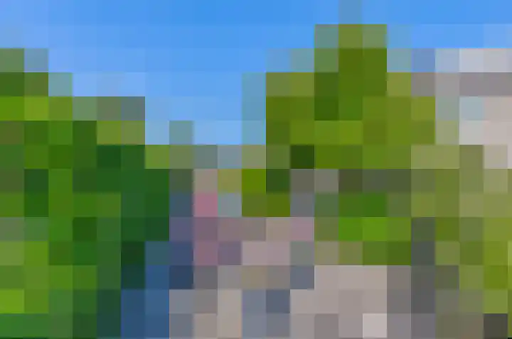 Korenmolen 23 Capelle aan den IJssel thumbnail 11