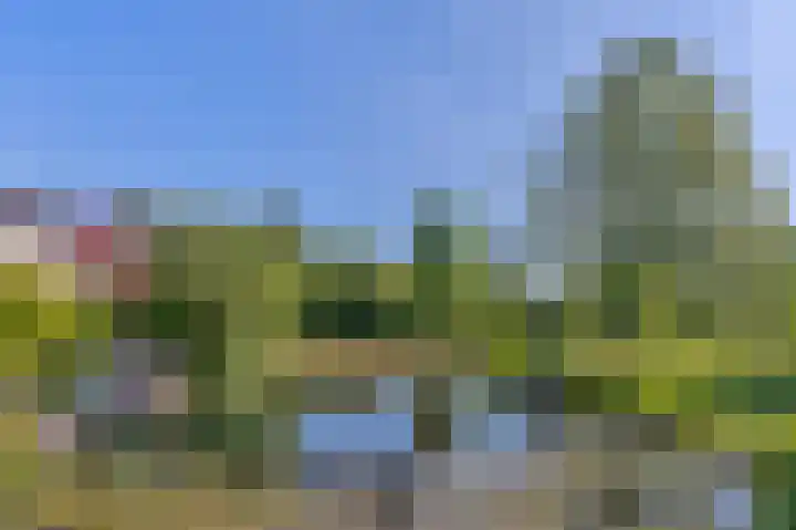 Korenmolen 23 Capelle aan den IJssel thumbnail 12