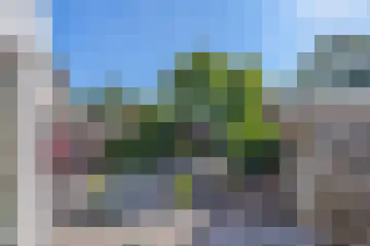 Korenmolen 23 Capelle aan den IJssel thumbnail 14