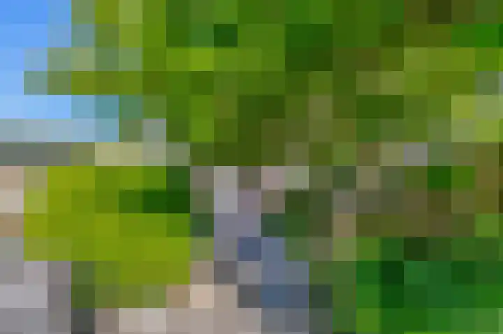 Korenmolen 23 Capelle aan den IJssel thumbnail 17