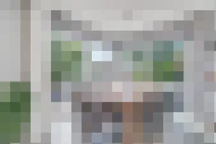 Korenmolen 23 Capelle aan den IJssel thumbnail 19