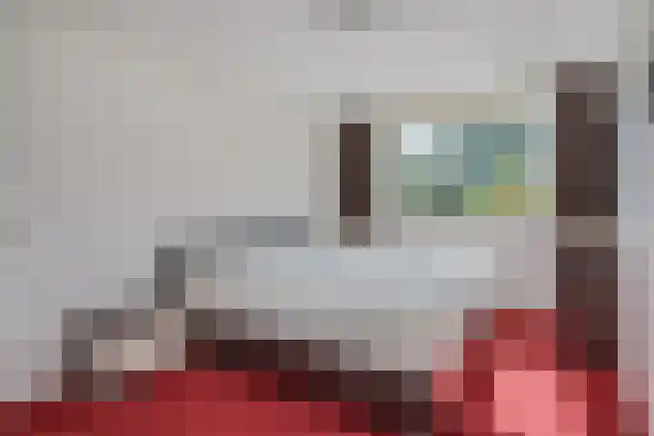 Korenmolen 23 Capelle aan den IJssel thumbnail 24