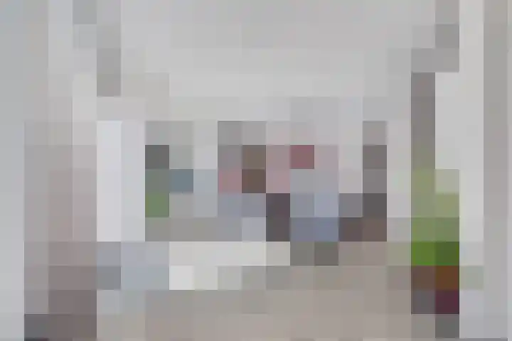 Korenmolen 23 Capelle aan den IJssel thumbnail 8