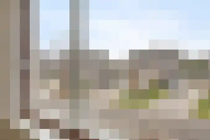 Korenmolen 24 Drachten thumbnail 27