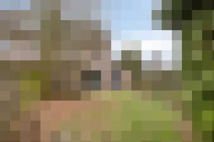 Korenmolen 24 Drachten thumbnail 37