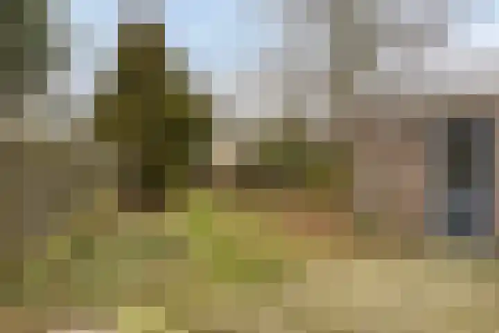 Korenmolen 24 Drachten thumbnail 38