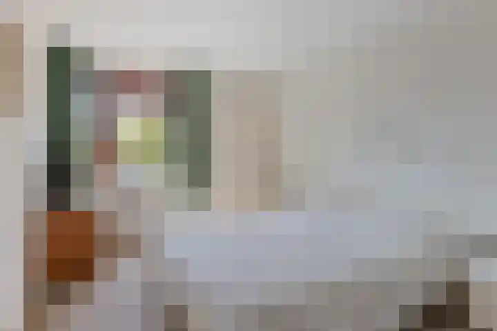 Korenmolen 27 Koog aan de Zaan thumbnail 18