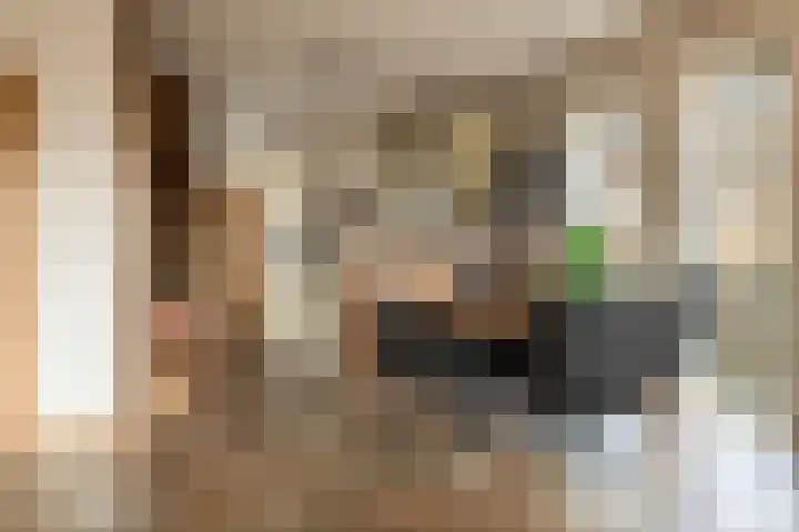 Korenmolen 32 Harmelen thumbnail 13