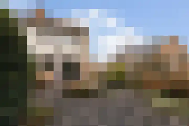 Korenmolen 32 Harmelen thumbnail 37