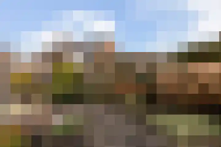 Korenmolen 32 Harmelen thumbnail 41