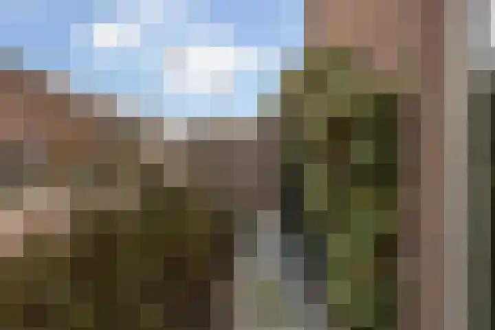 Korenmolen 32 Harmelen thumbnail 43