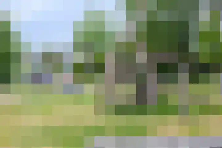 Korenmolen 33 Harmelen thumbnail 31