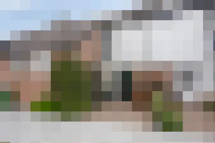 Korenmolen 33 Harmelen thumbnail 36