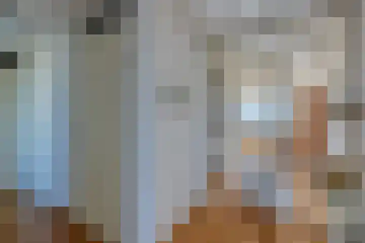 Korenmolen 35 Leiderdorp thumbnail 20