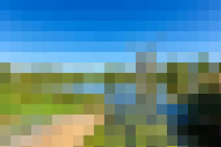 Korenmolen 35 Leiderdorp thumbnail 6