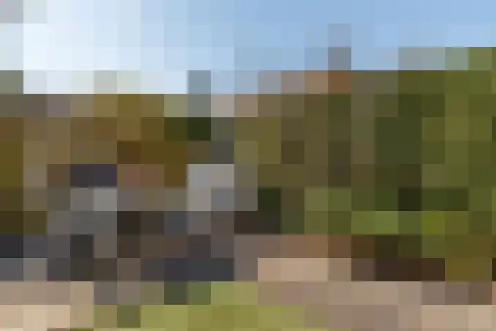 Korenmolen 36 Harmelen thumbnail 24