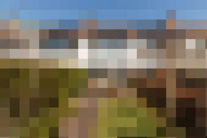 Korenmolen 36 Harmelen thumbnail 4
