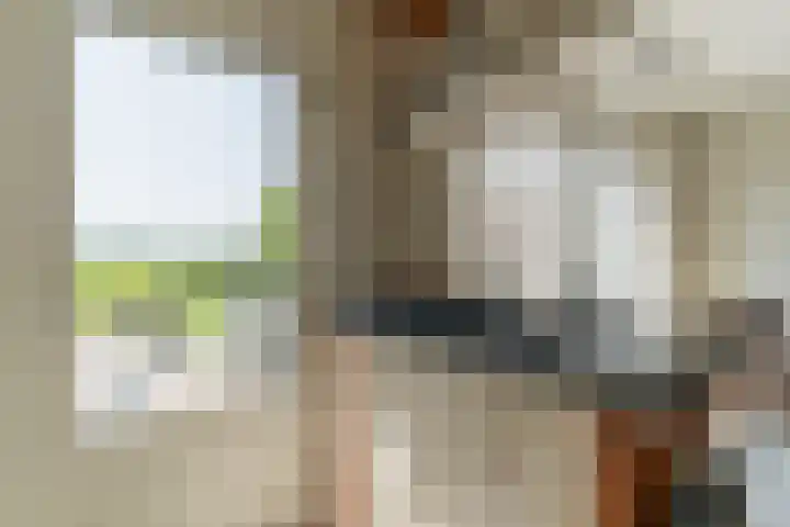 Korenmolen 37 Nieuwe Niedorp thumbnail 12