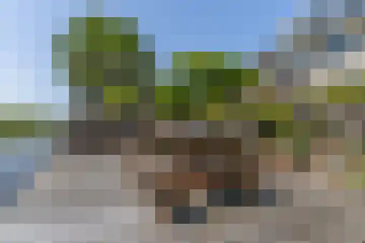 Korenmolen 37 Nieuwe Niedorp thumbnail 47