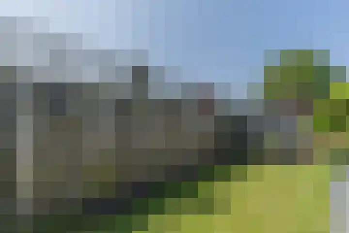 Korenmolen 37 Nieuwe Niedorp thumbnail 48