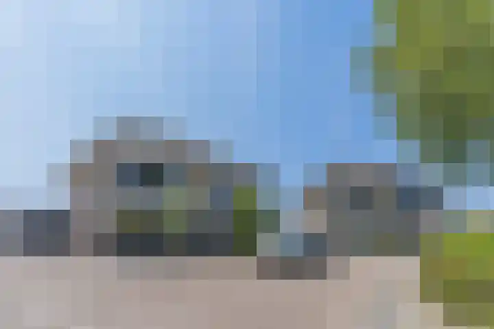 Korenmolen 37 Nieuwe Niedorp thumbnail 51