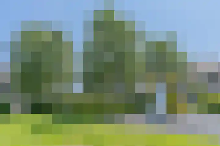 Korenmolen 37 Nieuwe Niedorp thumbnail 59