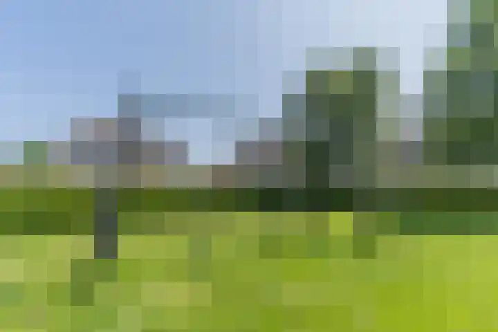 Korenmolen 37 Nieuwe Niedorp thumbnail 60