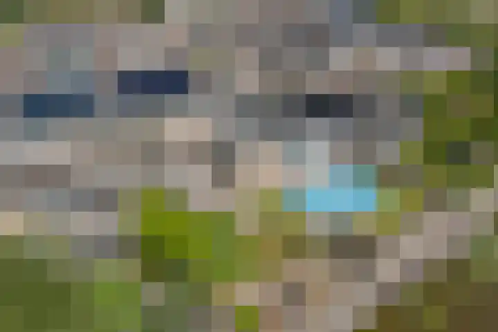 Korenmolen 37 Nieuwe Niedorp thumbnail 61