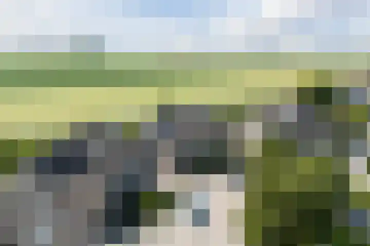 Korenmolen 37 Nieuwe Niedorp thumbnail 69