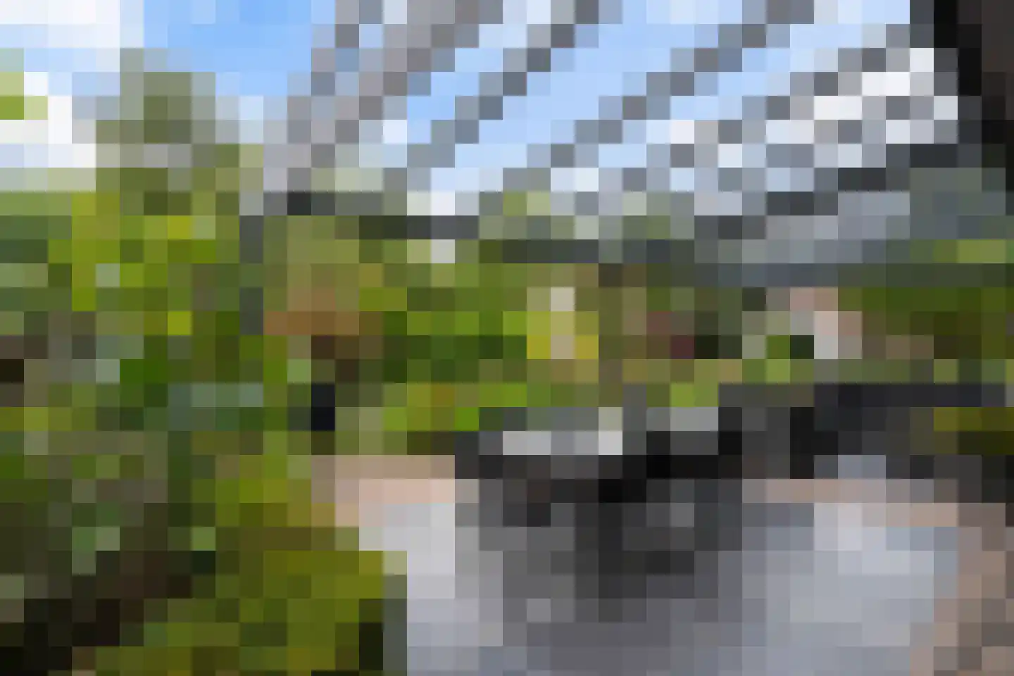 Korenmolen 38 Weert thumbnail 41