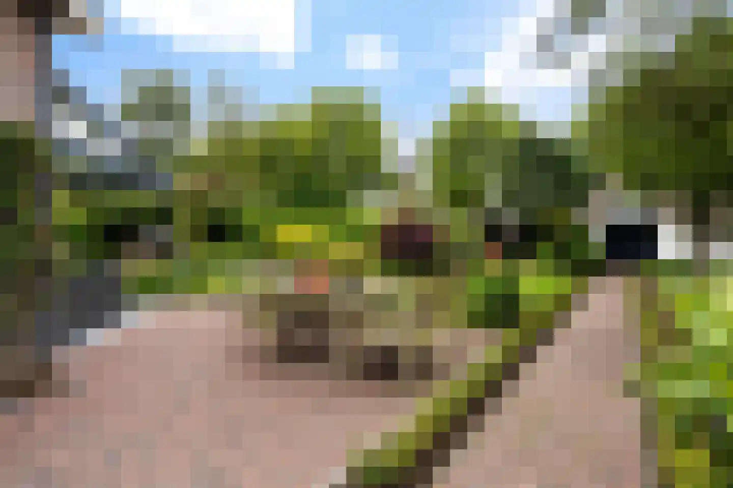 Korenmolen 38 Weert thumbnail 42