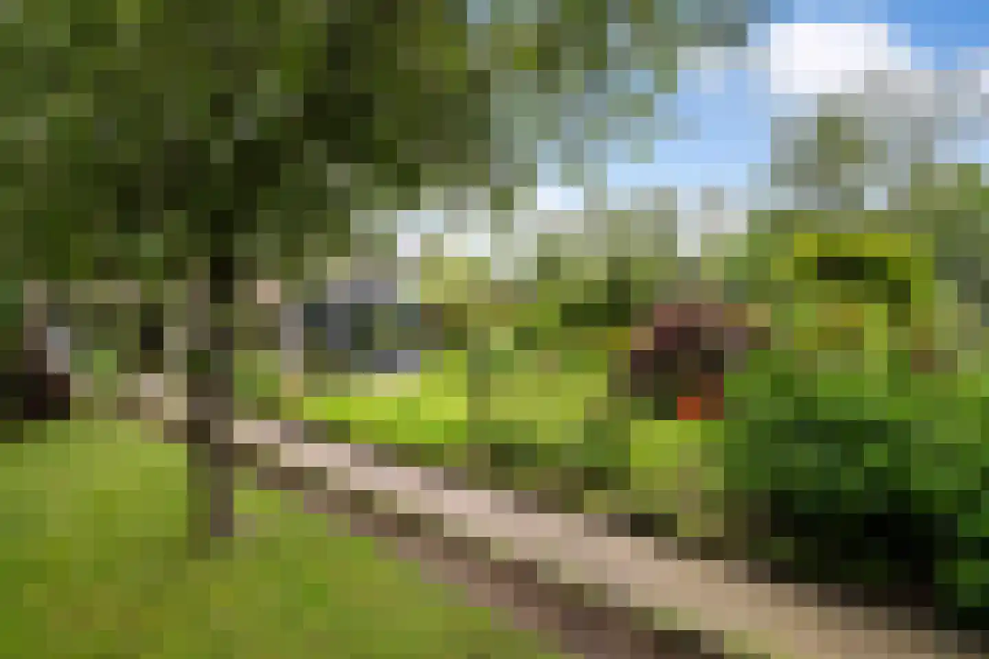 Korenmolen 38 Weert thumbnail 45