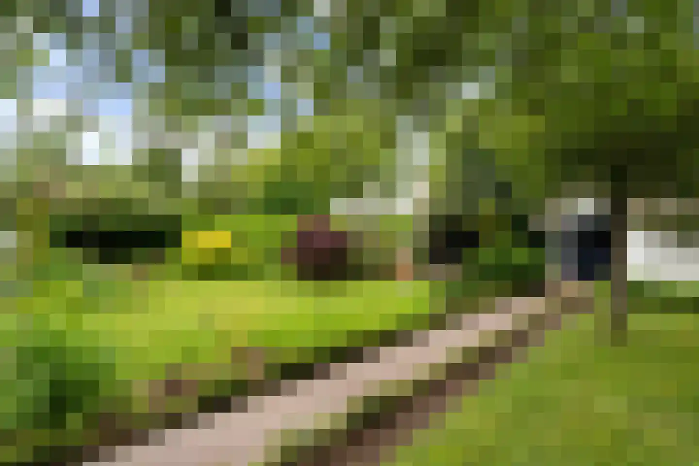Korenmolen 38 Weert thumbnail 46