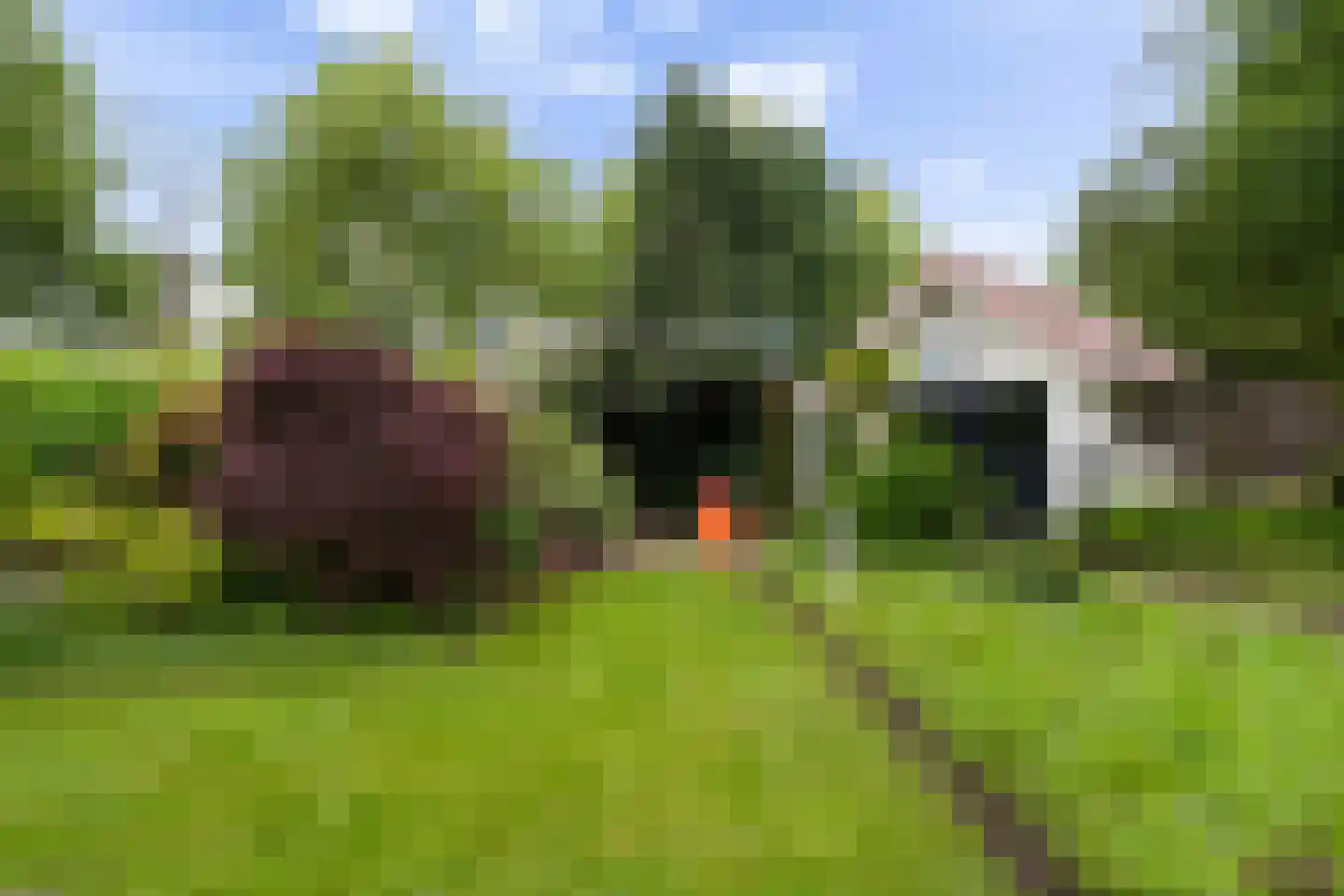 Korenmolen 38 Weert thumbnail 47