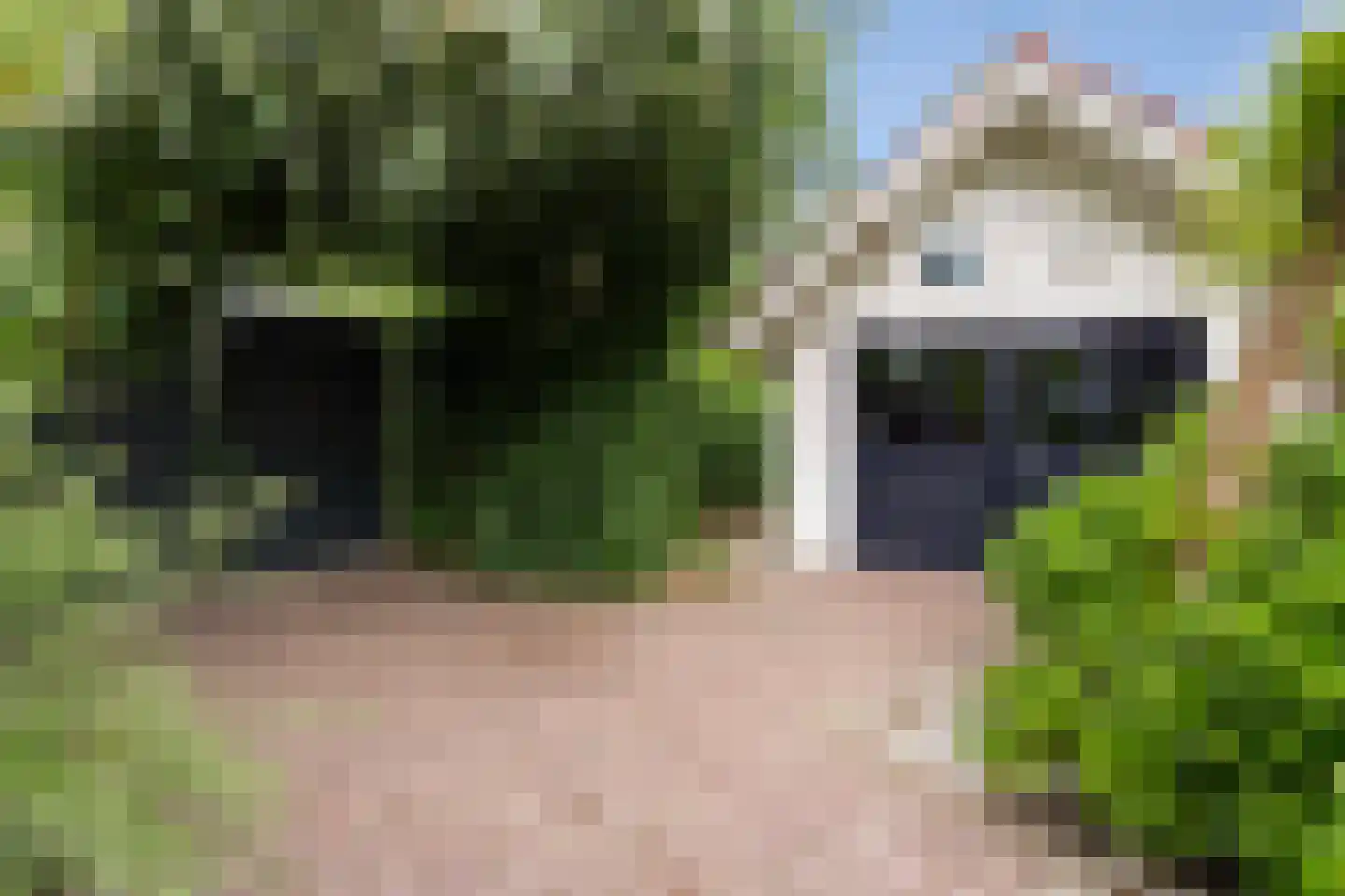 Korenmolen 38 Weert thumbnail 48