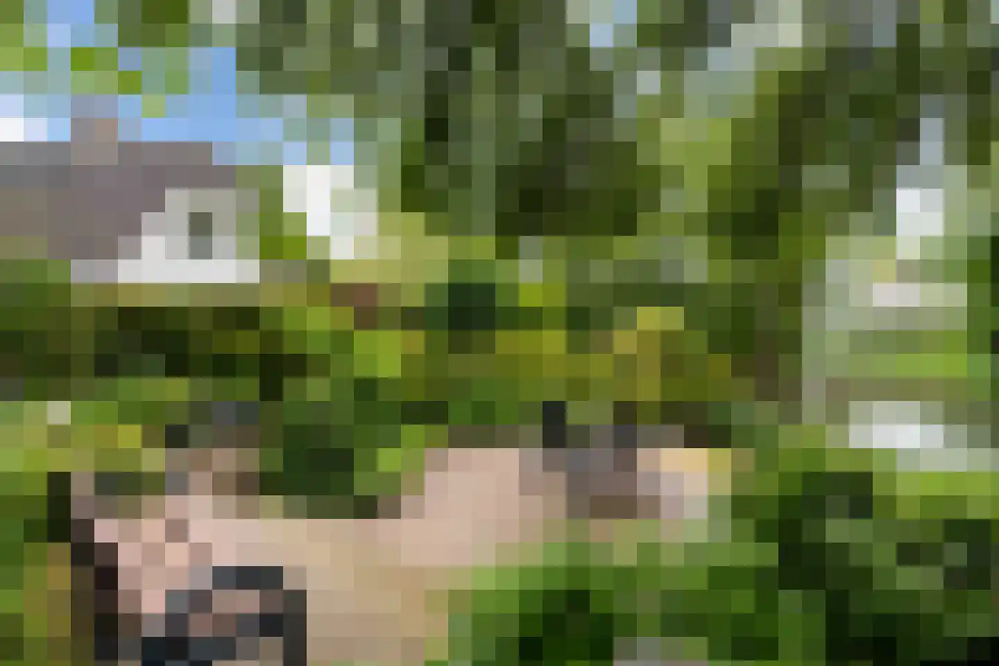 Korenmolen 38 Weert thumbnail 53