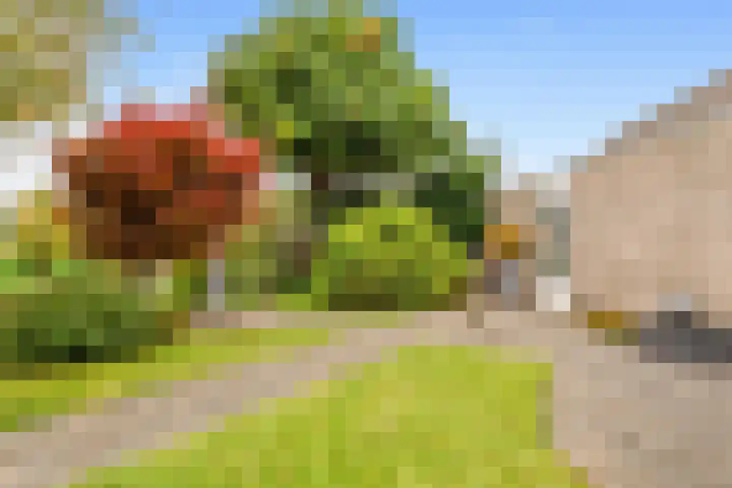 Korenmolen 39 Nieuwe Niedorp thumbnail 40