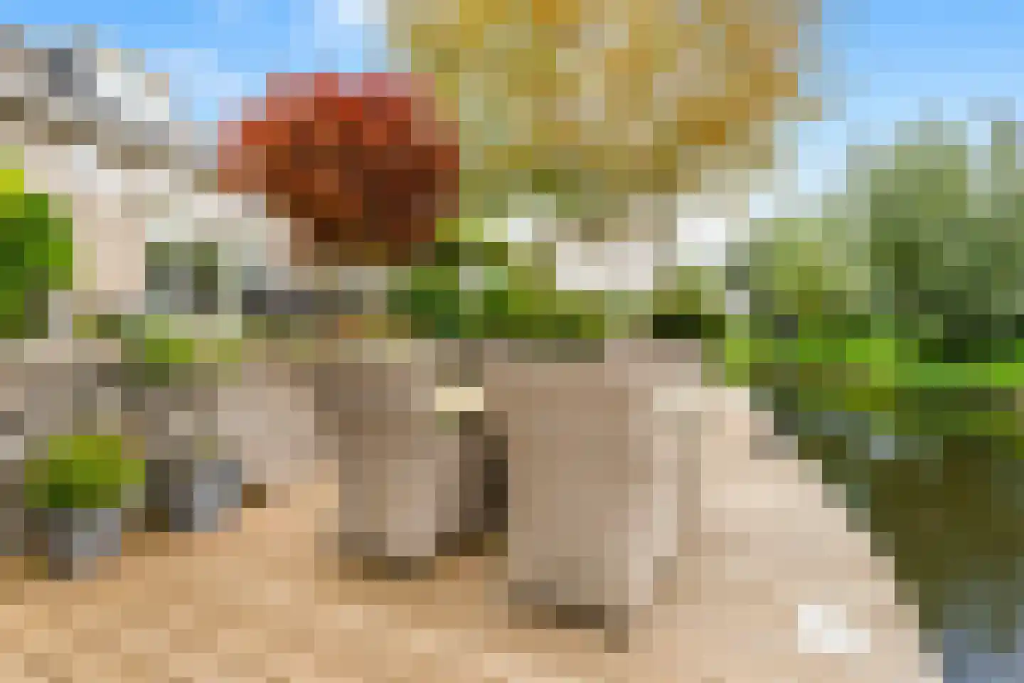 Korenmolen 39 Nieuwe Niedorp thumbnail 47