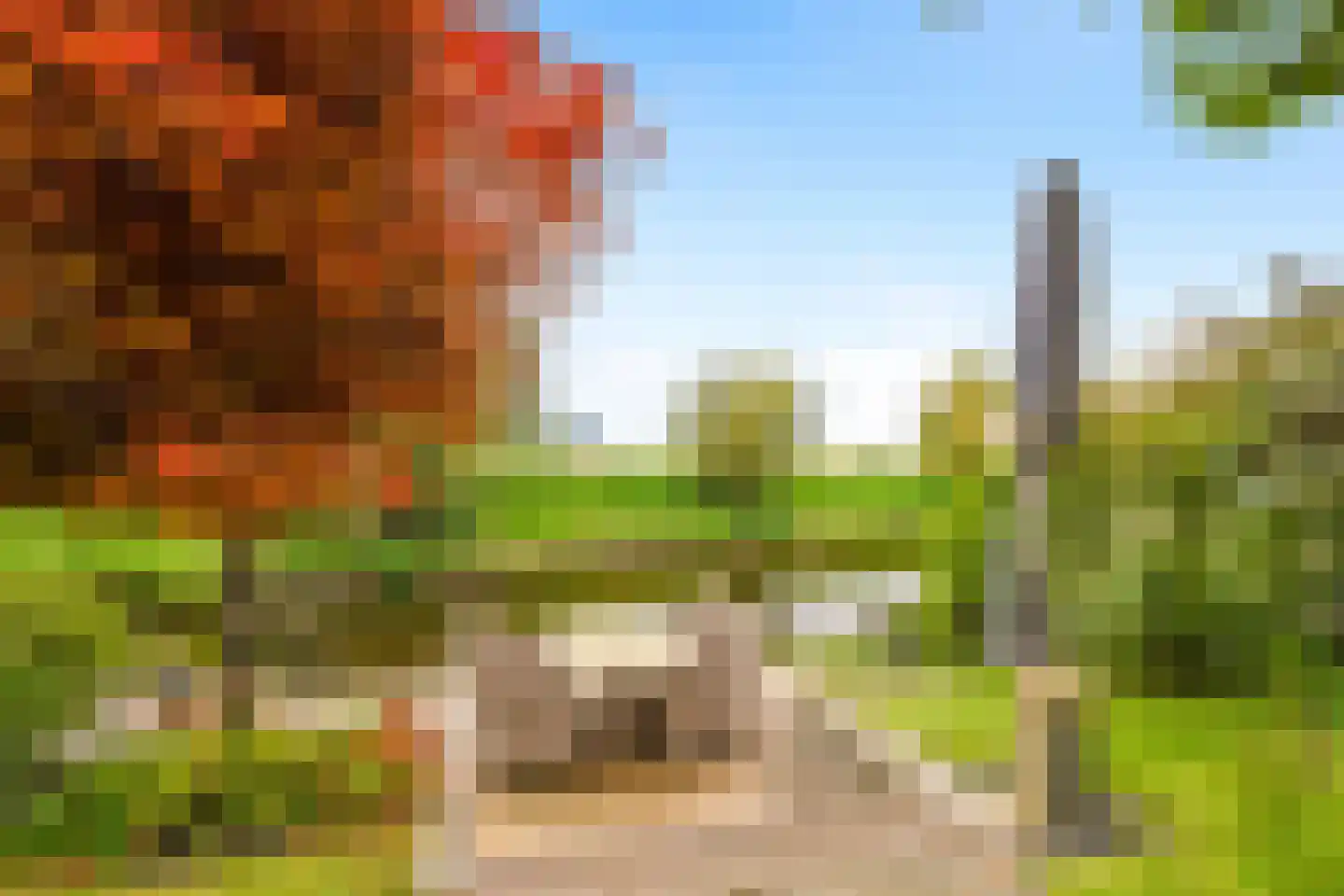 Korenmolen 39 Nieuwe Niedorp thumbnail 7