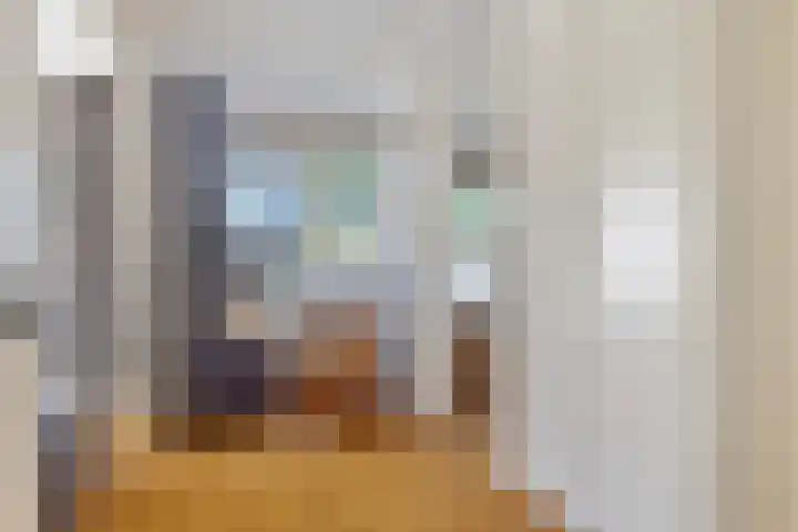Korenmolen 4 Koog aan de Zaan thumbnail 14