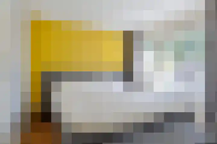 Korenmolen 4 Koog aan de Zaan thumbnail 15