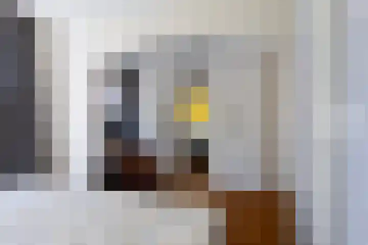 Korenmolen 4 Koog aan de Zaan thumbnail 16