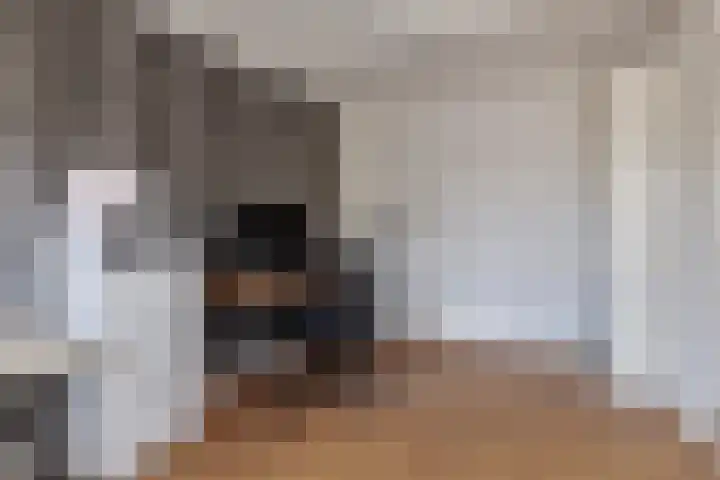 Korenmolen 4 Koog aan de Zaan thumbnail 19
