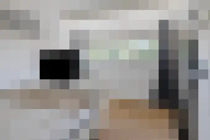 Korenmolen 4 Koog aan de Zaan thumbnail 23