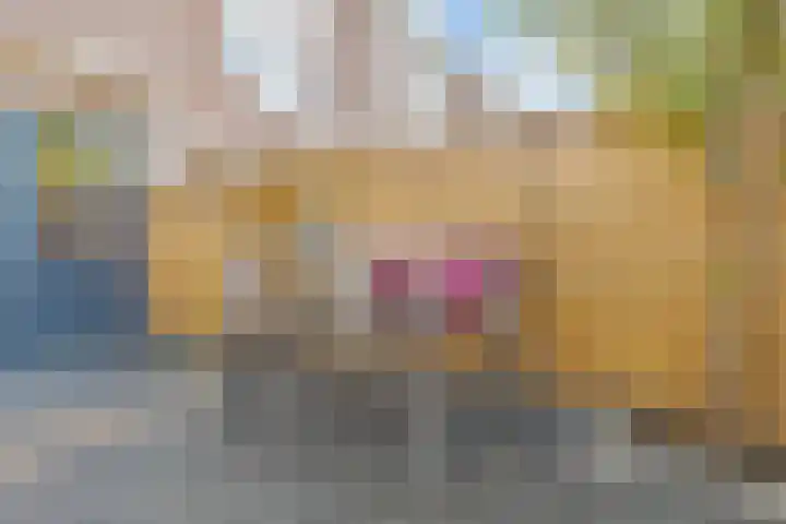 Korenmolen 4 Koog aan de Zaan thumbnail 29