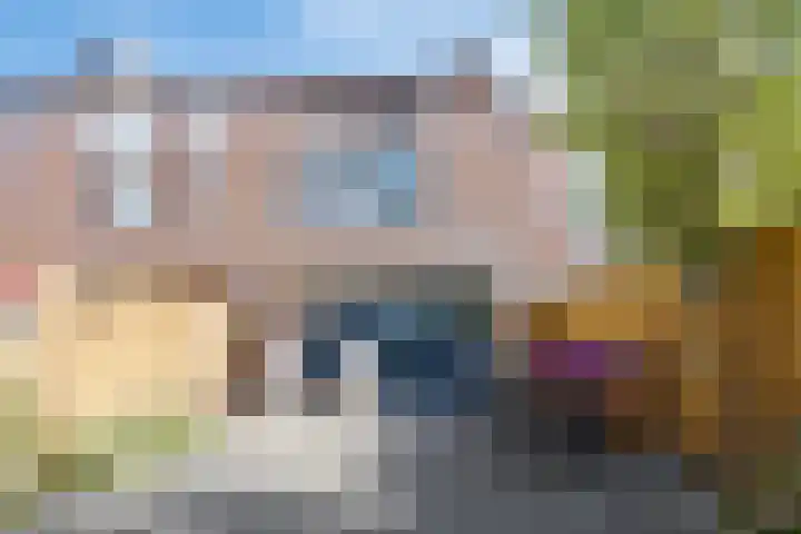Korenmolen 4 Koog aan de Zaan thumbnail 30