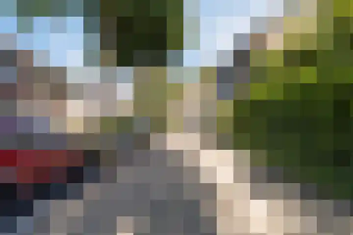 Korenmolen 4 Koog aan de Zaan thumbnail 31