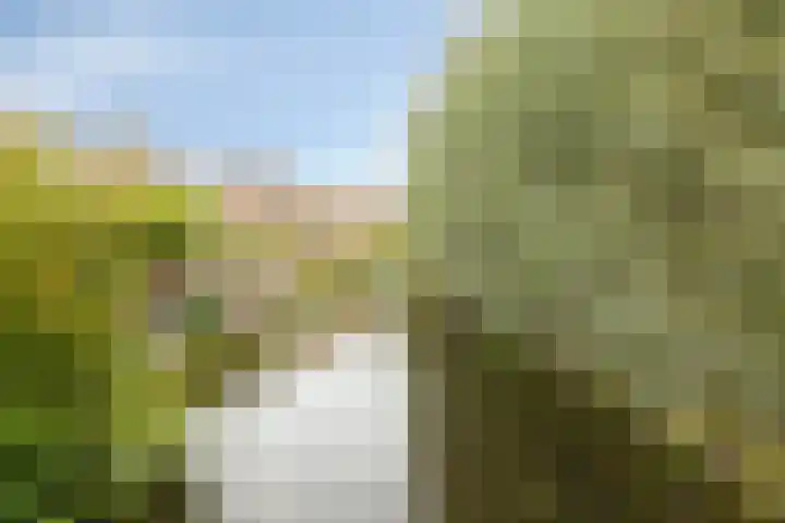 Korenmolen 4 Koog aan de Zaan thumbnail 33