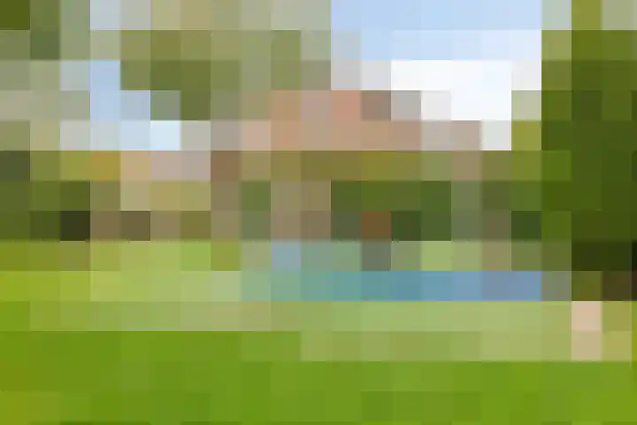 Korenmolen 4 Koog aan de Zaan thumbnail 34